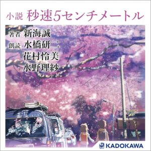 小説 秒速5センチメートル